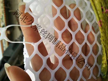 床墊網(wǎng)又名塑料內襯塑料網(wǎng)，最近幾年一直用于床墊的內襯，使床墊更具有彈性和韌性，和透氣性，實(shí)驗證明使用了床墊網(wǎng)的床墊舒適性更佳。床墊網(wǎng)網(wǎng)孔一般都小于2.5cm，大多由原包料生產(chǎn)，顏色一般為透明色或白色，